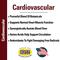 Show in main carousel: VetClassics Cardiovascular Support with Coenzyme Q-10 Chewable Tablets Dog Supplement, 120 count slide 7 of 9