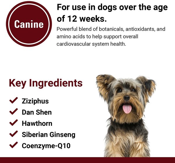 Show full view: VetClassics Cardiovascular Support with Coenzyme Q-10 Chewable Tablets Dog Supplement, 120 count slide 7 of 8