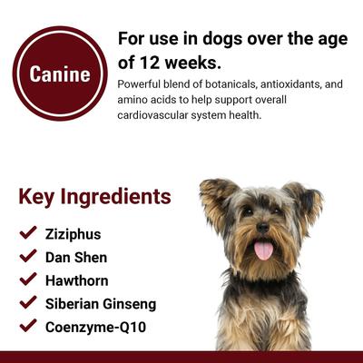 Show full view: VetClassics Cardiovascular Support with Coenzyme Q-10 Chewable Tablets Dog Supplement, 120 count slide 8 of 9