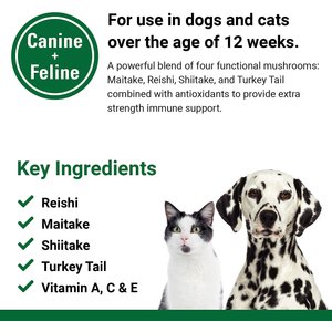 VetClassics CAS Options Extra Strength Immune & Antioxidant Support Dog & Cat Supplement, 120 count