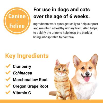 Show full view: VetClassics Cranberry Comfort Urinary Tract Support Powder Dog & Cat Supplement, 3.5-oz bottle slide 8 of 10