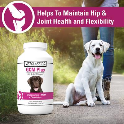 Show full view: VetClassics GCM Plus Hip & Joint Support Chewable Tablets Dog Supplement, 120 count slide 6 of 9