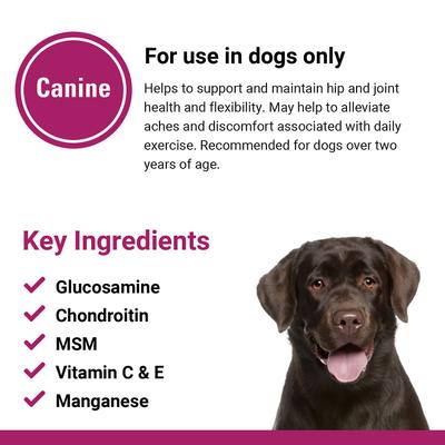 Show full view: VetClassics GCM Plus Hip & Joint Support Chewable Tablets Dog Supplement, 120 count slide 8 of 9