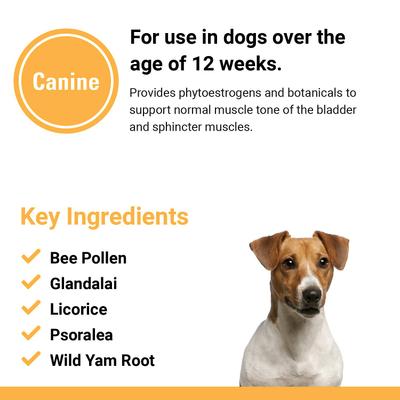 Show full view: VetClassics Incontinence Support Chewable Tablets Dog Supplement, 120 count slide 8 of 9