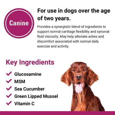 Show full view: VetClassics Joint Support Plus Hip & Joint Support Chewable Tablets Dog Supplement, 120 count slide 8 of 10