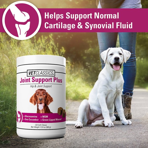 VetClassics Joint Support Plus Hip & Joint Support Soft Chews Dog Supplement, 120 count