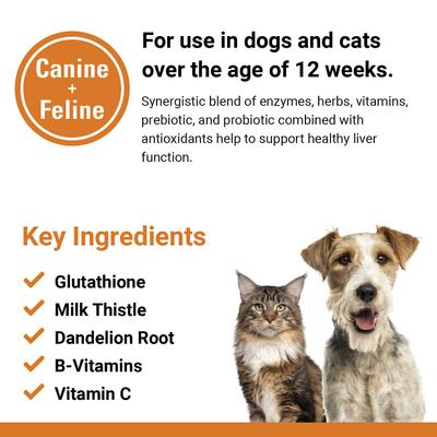 Show full view: VetClassics Liver Support Chewable Tablets Dog & Cat Supplement, 60 count slide 8 of 9
