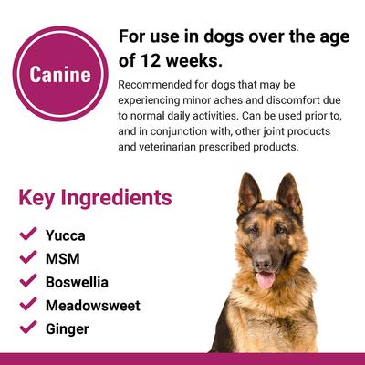 Show full view: VetClassics Pain Plus Extra Strength Soft Chews Dog Supplement, 120 count slide 8 of 10