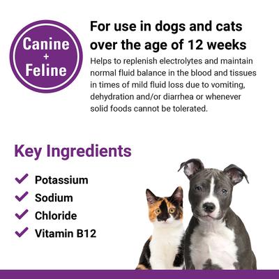 Show full view: VetClassics Pet-A-Lyte Oral Electrolyte Solution Dog & Cat Supplement, 32-oz bottle slide 8 of 10