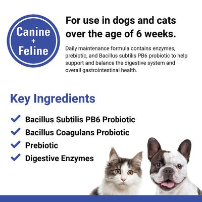 Show full view: VetClassics Protegrity EZ Probiotic & Enzyme Powder Dog & Cat Supplement, 4-oz bottle slide 8 of 10