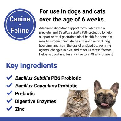 Show full view: VetClassics Protegrity GI Probiotics Soft Chews Dog & Cat Supplement, 45 count slide 8 of 9