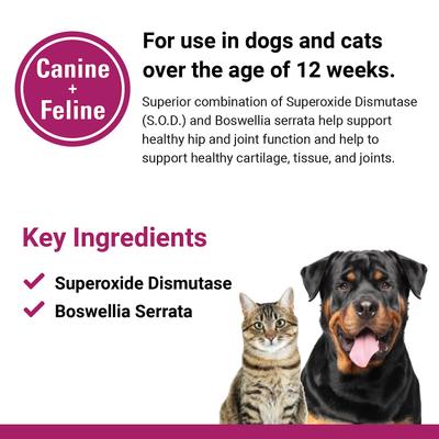 Show full view: VetClassics S.O.D. & Boswellia Joint Support Chewable Tablets Dog & Cat Supplement, 500 count slide 8 of 10