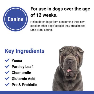 Show full view: VetClassics Stop Stool Eating Soft Chews Dog Supplement, 90 count slide 8 of 10