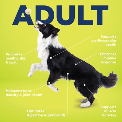 Show full view: Vetericyn ALL-IN 1 Multifunctional Supplements for Dogs, 90 count slide 6 of 12