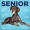 Show in main carousel: Vetericyn ALL-IN 1 Multifunctional Supplements for Senior Dogs, 90 count slide 6 of 12