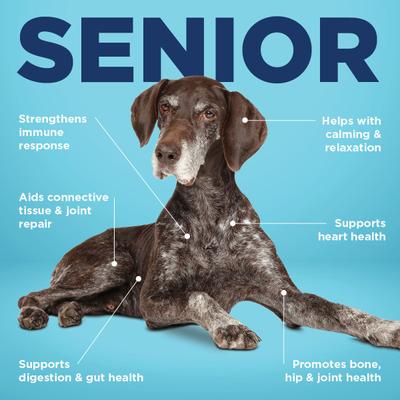 Show full view: Vetericyn ALL-IN 1 Multifunctional Supplements for Senior Dogs, 90 count slide 6 of 12