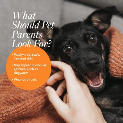 Show full view: Veterinary Formula Clinical Care Antiparasitic & Antiseborrheic Dog Shampoo, 16-oz bottle + Antiseptic & Antifungal Spray, 8-oz spray slide 9 of 10