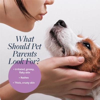 Show full view: Veterinary Formula Clinical Care Antiparasitic & Antiseborrheic Medicated Shampoo, 16-fl oz bottle slide 4 of 11