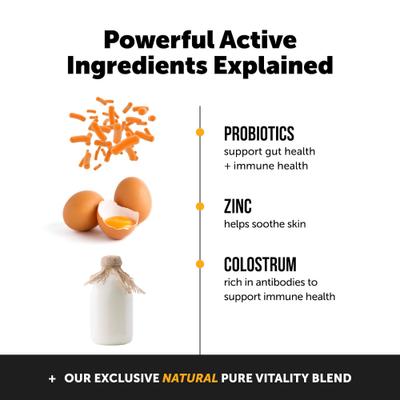 Show full view: Veterinary Formula Clinical Care Antiseptic & Antifungal Shampoo, 16-oz bottle & PetHonesty Allergy Support Soft Chews Dog Supplement slide 5 of 9