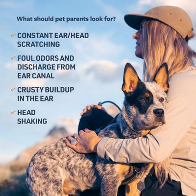 Show full view: Veterinary Formula Clinical Care Ear Therapy Dog & Cat Ear Cleaner, 8-fl oz bottle slide 5 of 11