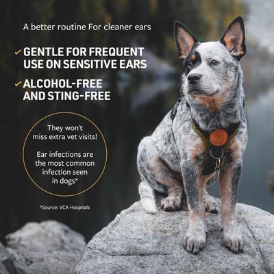 Show full view: Veterinary Formula Clinical Care Ear Therapy Dog & Cat Ear Wipes, 100 count slide 4 of 10