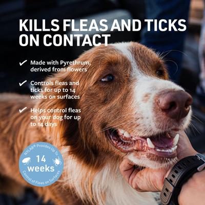 Show full view: Veterinary Formula Clinical Care Flea & Tick Medicated Spray, 8-fl oz bottle slide 3 of 9