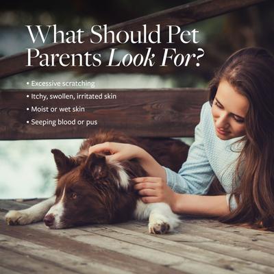 Show full view: Veterinary Formula Clinical Care Hot Spot & Itch Relief Medicated Shampoo, 16-fl oz bottle slide 4 of 10