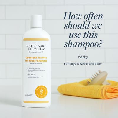 Show full view: Veterinary Formula Clinical Care Oatmeal & Tea Tree Oil Infuser Shampoo, 16-fl oz bottle slide 5 of 10