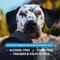 Show in main carousel: Veterinary Formula Smart Coat Complex Fragrance-Free Dog & Cat Tear Stain Eye Wipes, 100 count slide 3 of 8