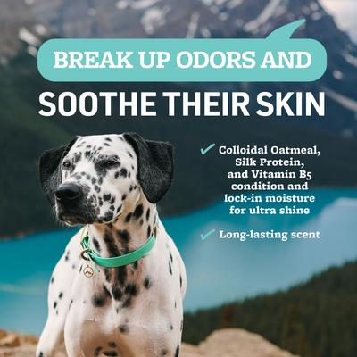 Show full view: Veterinary Formula Smart Coat Complex Soothing & Deodorizing Oatmeal Shampoo for Dogs & Cats, 1-gal bottle slide 4 of 9
