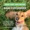 Show in main carousel: Veterinary Formula Smart Coat Complex Triple Strength Dirty Dog Concentrated Shampoo, 1-gal bottle slide 4 of 11