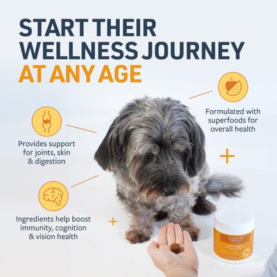 Show full view: Veterinary Formula Smart Vitality Senior Support Pork Flavored Soft Chew Supplement for Senior Dogs, 100 count slide 3 of 11