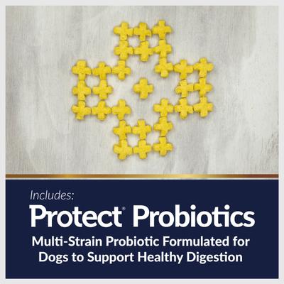 Show full view: Veterinary Select Protect Puffs Digestive Care & Weight Management Low Fat Dog Treats, 20-oz bag slide 10 of 11