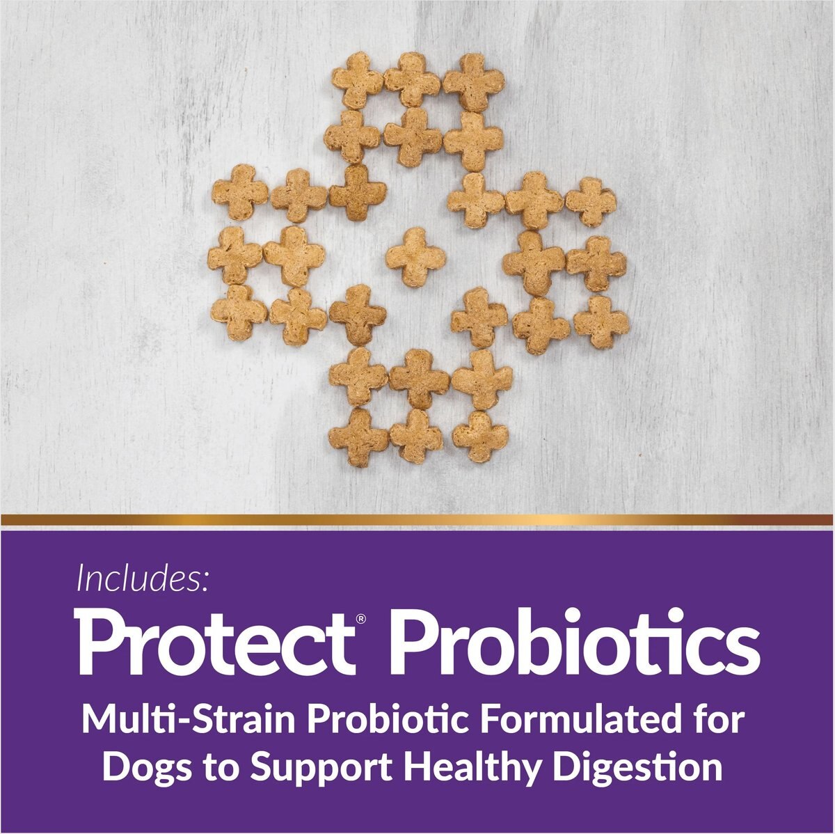 Veterinary Select Protect Healthy Skin & Coat Probiotic Dog Supplement, 2.12-oz jar