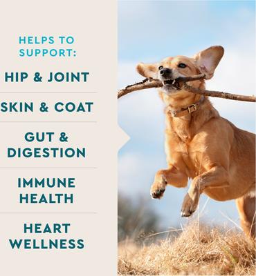 Show full view: VetIQ 8-N-One Soft Chew Multifunctional for Dogs, 60 count slide 5 of 13