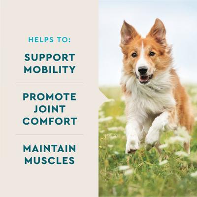 Show full view: VetIQ Advanced Hip & Joint Chicken Flavored Soft Chews Dog Supplement, 60 count bag slide 5 of 11