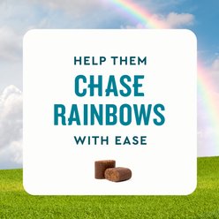 VetIQ Advanced Hip & Joint Chicken Flavored Soft Chews Dog Supplement, 60 count bag slide 2 of 9