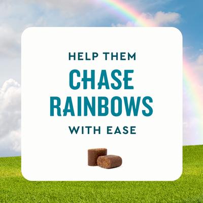 Show full view: VetIQ Advanced Hip & Joint Chicken Flavored Soft Chews Dog Supplement, 60 count bag slide 4 of 11