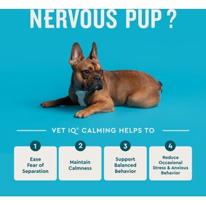 VetIQ Calming Soft Chew Calming Supplement for Dogs, 60 count
