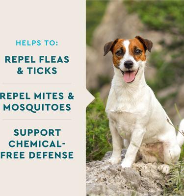 Show full view: VetIQ Hickory Smoke Flavored Soft Chews Flea & Tick Support for Dogs, 9.5-oz, 60 count slide 4 of 10