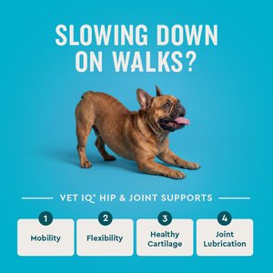 VetIQ Hip & Joint Soft Chew Joint Supplement for Dogs, 180 count