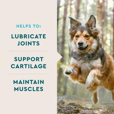 Show full view: VetIQ Hip & Joint Soft Chew Joint Supplement for Dogs, 180 count slide 5 of 13