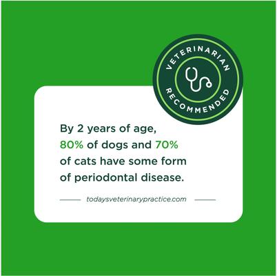 Show full view: VetIQ Minties Twists Large Vanilla Mint Dental Dog Treats, 12-oz bag, count varies slide 8 of 10