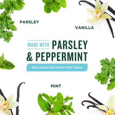 Show full view: VetIQ Minties Twists Large Vanilla Mint Dental Dog Treats, 24-oz bag, count varies slide 6 of 10