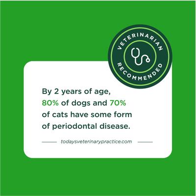 Show full view: VetIQ Minties Twists Large Vanilla Mint Dental Dog Treats, 24-oz bag, count varies slide 8 of 10