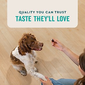 VetIQ Pill Treats Advanced Formula Soft Chews Chicken Flavored Dog Treats, 30 count