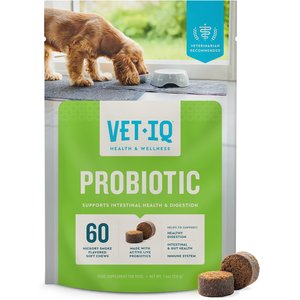 VetIQ Probiotic Soft Chew Supplement for Dogs, 60 count