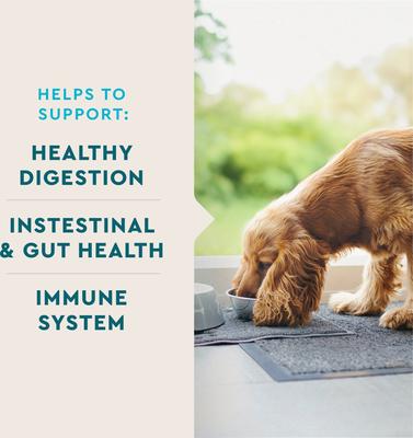 Show full view: VetIQ Probiotic Soft Chew Supplement for Dogs, 60 count slide 5 of 13