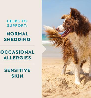 Show full view: VetIQ Skin & Coat Soft Chew Supplement for Dogs, 60 Count slide 5 of 11