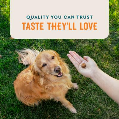 Show full view: VetIQ Skin & Coat Soft Chew Supplement for Dogs, 60 Count slide 8 of 11